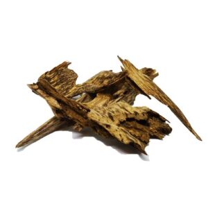 Wild Vietnam Agarwood