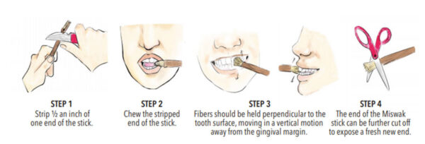 Miswak Natural Toothbrush - Image 3
