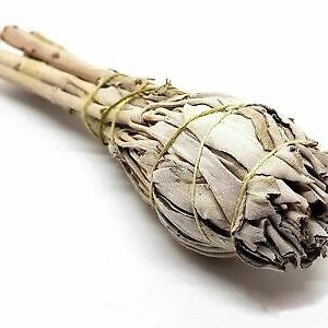 White Sage Bulb